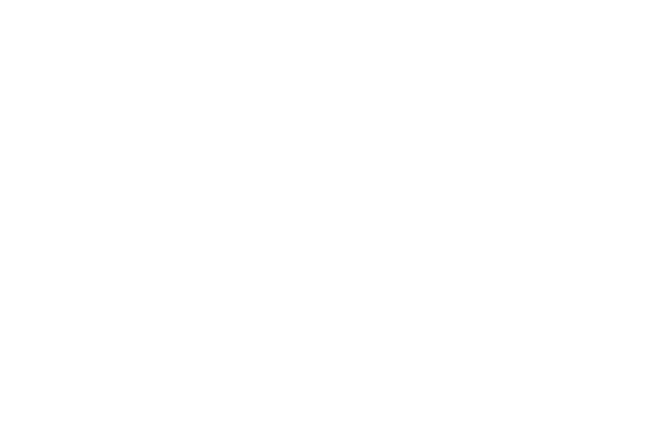 The Lady Cruisers of the Ozarks Women On Wheels patch
