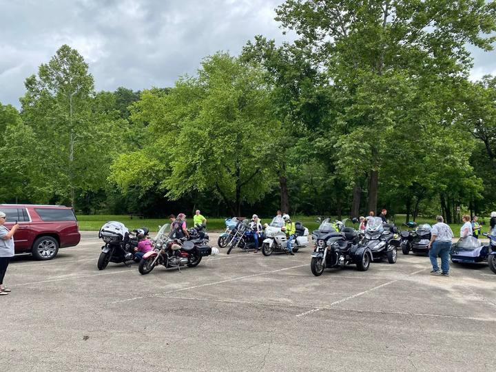 Motorcycles lined up in a parking lot under tall trees