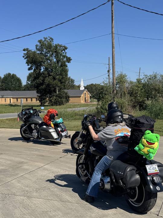 Motorcycles parked under trees, a stuffed green frog riding on one seat